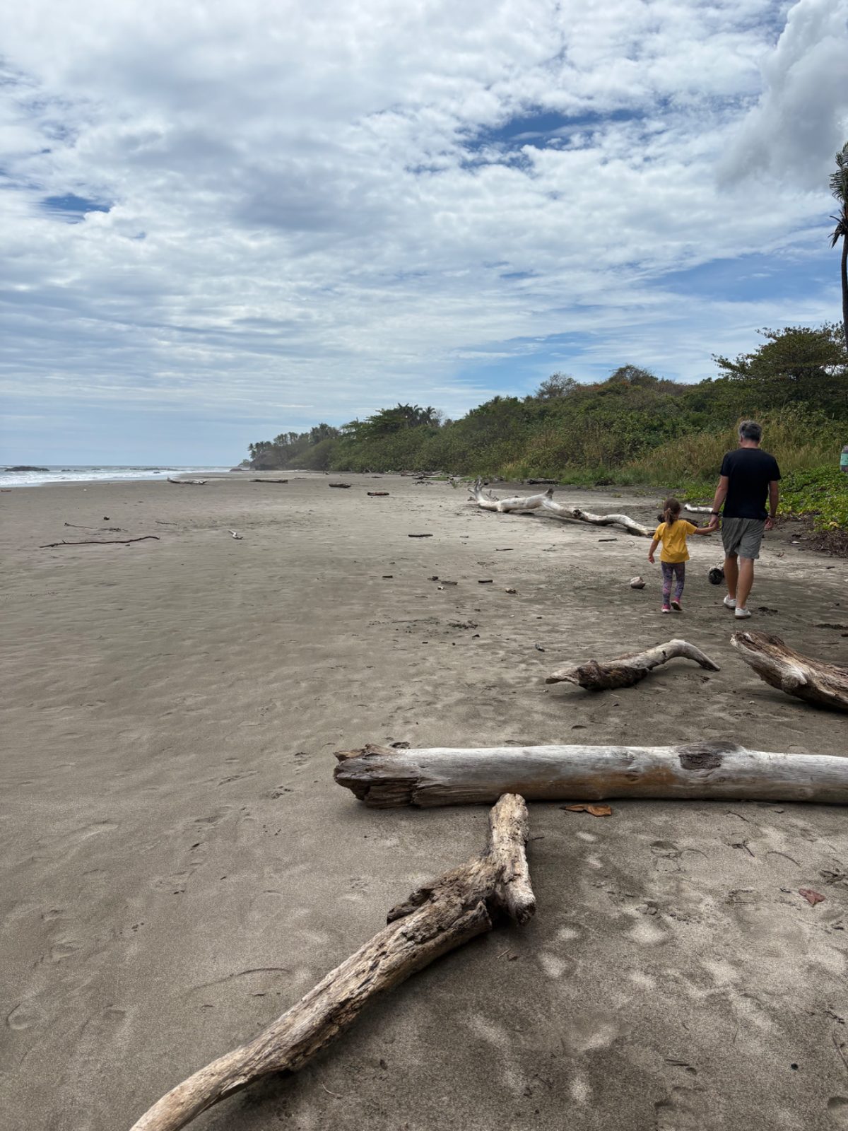 A dad and his young daughter walking hand in hand along a wild, driftwood-strewn Pacific beach